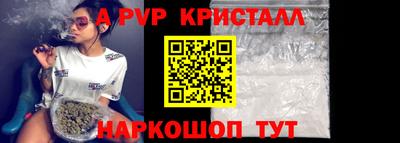 винт Сланцы