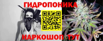 винт Сланцы