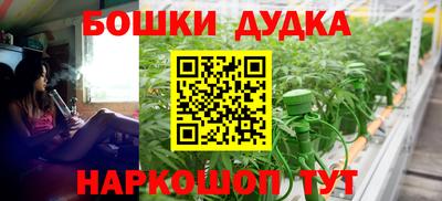крисы Славянск-на-Кубани